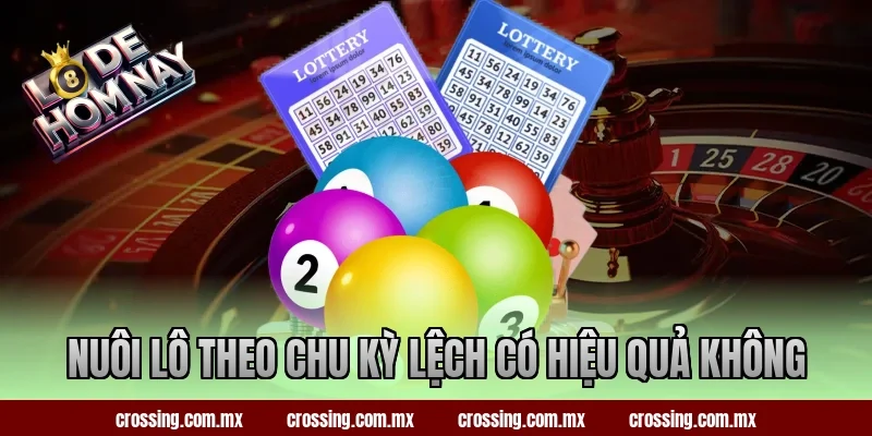 Giải Mã Liệu Nuôi Lô Theo Chu Kỳ Lệch Có Hiệu Quả Không?