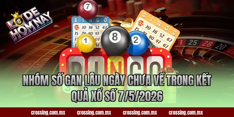 Nhóm số gan lâu ngày chưa về trong kết quả xổ số 7/5/2026